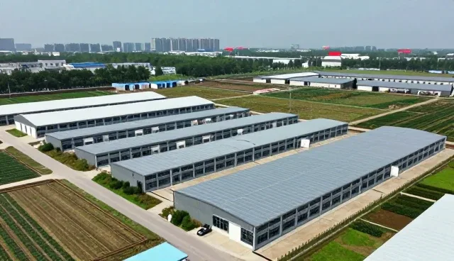 技术落地中的关键步骤与维护建议